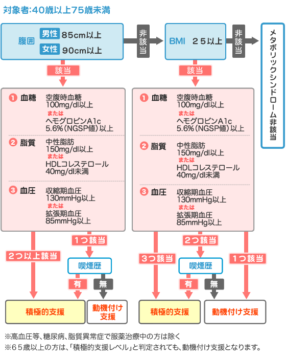 特定保健指導の判定基準